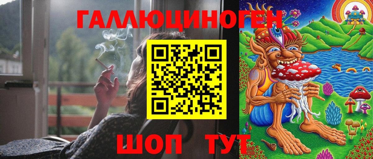 Галлюциногенные грибы Cubensis Владимир