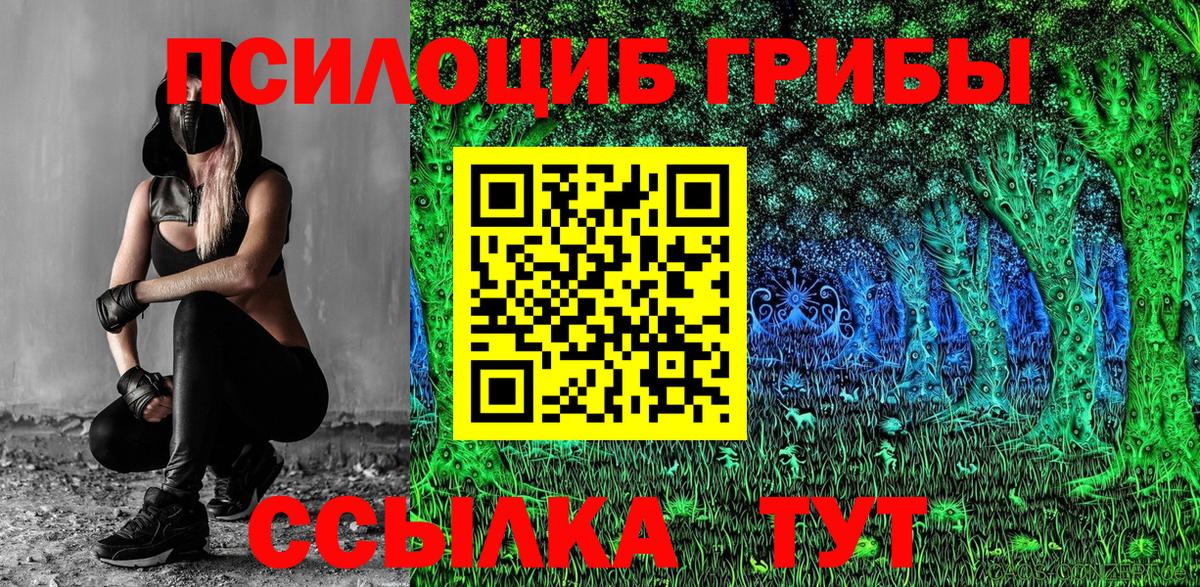 Галлюциногенные грибы GOLDEN TEACHER  Вход с VPN  Владимир  Псилоцибиновые грибы Magic Shrooms 